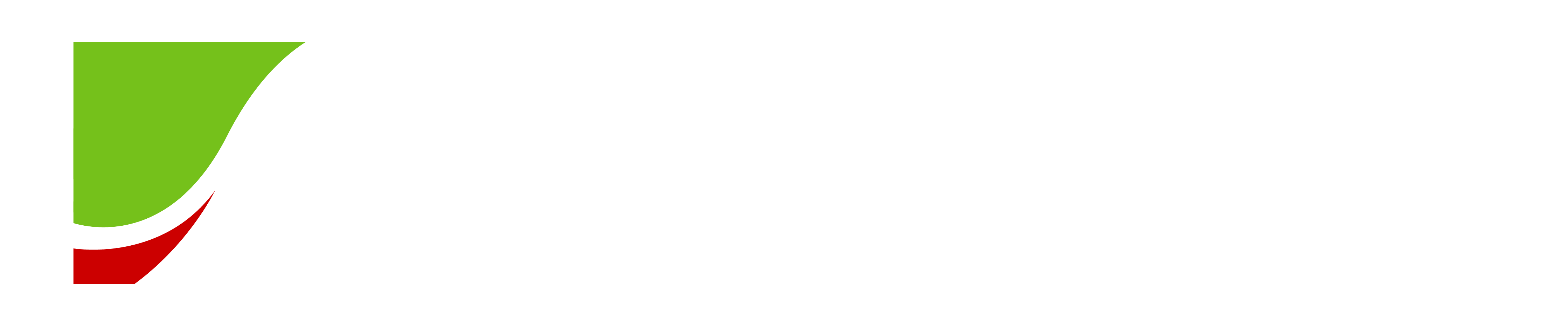 The StratonHunter Group: Strategy • Insights • Growth